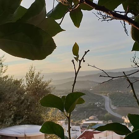 אולברה Mirador Del Olivar מראה חיצוני תמונה