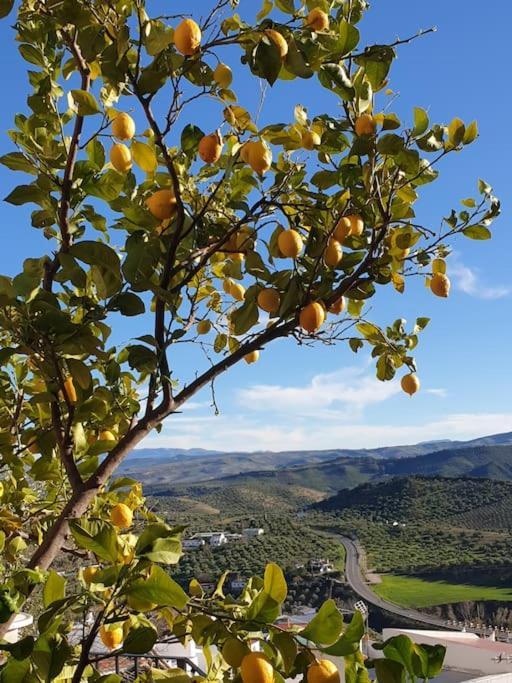 אולברה Mirador Del Olivar מראה חיצוני תמונה