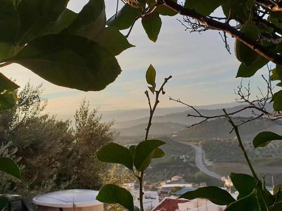 אולברה Mirador Del Olivar מראה חיצוני תמונה