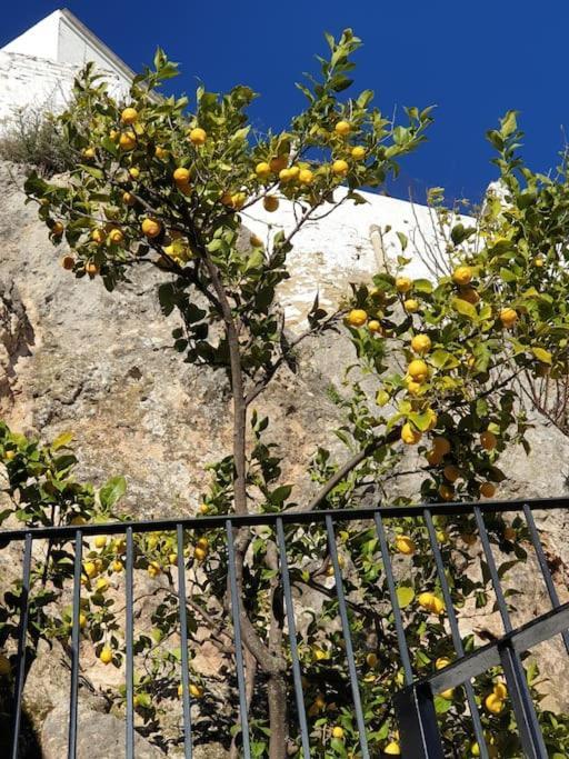 אולברה Mirador Del Olivar מראה חיצוני תמונה