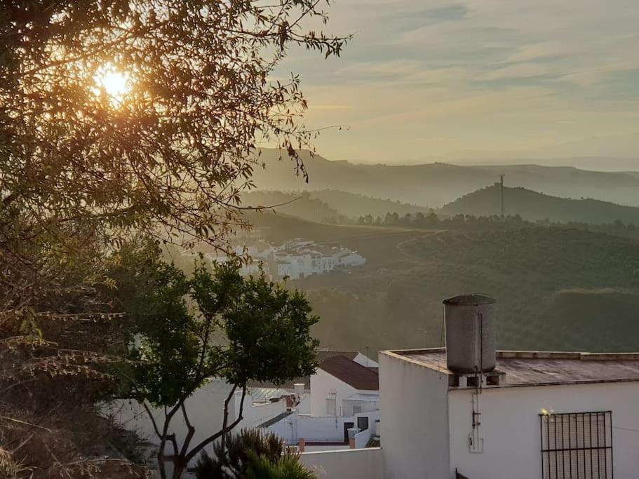 אולברה Mirador Del Olivar מראה חיצוני תמונה